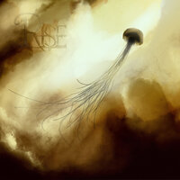 Rise - Rise