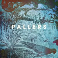 Come Rain, Come Sunshine - Pallers