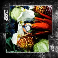 Honda Civic - The Cratez, Bonez MC