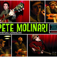 I Don't Like The Man I Am - Pete Molinari