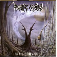 Where Mortals Have No Pride - Rotting Christ
