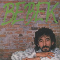 Žuta Ruža - Zeljko Bebek