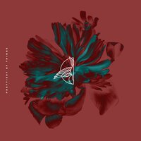 Falls - Earth Groans