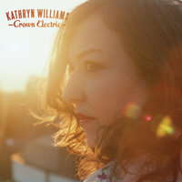 Darkness Light - Kathryn Williams