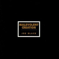 Sadistic Perversity - Malevolent Creation