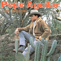 Esta Tristeza Mía - Pepe Aguilar