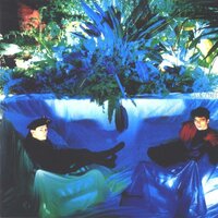 The Associates