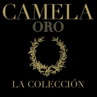 Simplemente Amor - Camela