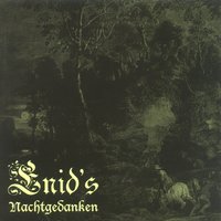 Of Wisdom's Shadows - Enid