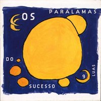 Um Pequeno Imprevisto - Os Paralamas Do Sucesso
