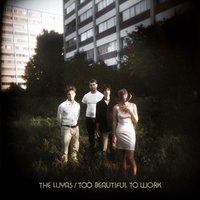 Too Beautiful To Work - The Luyas