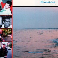 Days Of Nothing - Chokebore