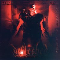 Entering My Yesterdays - Defleshed