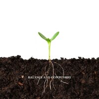 Twenty Four - Balance and Composure