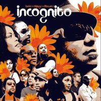 Tin Man - Incognito