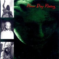 Predator - New Day Rising