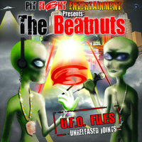 Fluid - The Beatnuts