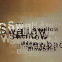 Head in a Cave - Swallow