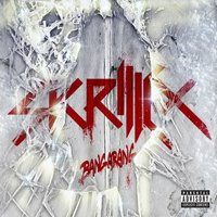 Bangarang - Skrillex, Sirah