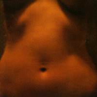 A Doe and Two Fawns - Juliana Hatfield