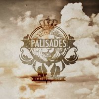Seamless Ending - Palisades