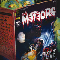 Hell Ain't Hot Enough (For Me) - The Meteors