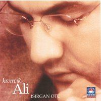 Yusufçuk - Kıvırcık Ali