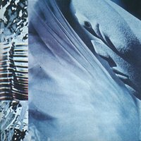 Safari - Whipping Boy