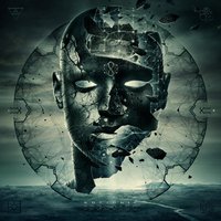 Stain Serenity - Socionic