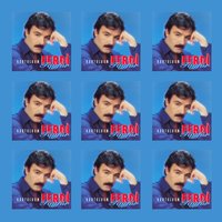 Ne Çıkar - Ferdi Tayfur