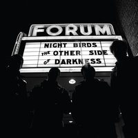 The Other Side of Darkness - Night Birds