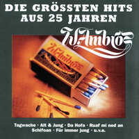 Langsam wochs' ma z'amm - Wolfgang Ambros