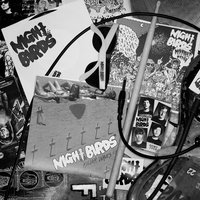 Prognosis: Negative - Night Birds