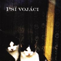 Napsal Jsem Píseň - Psí vojáci