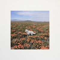 A Room in the Crowd - Maldito