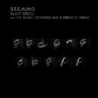 Silent Disco - Seeming