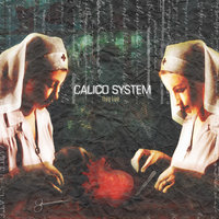 Transforming the Amber - Calico System