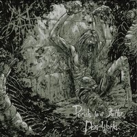 Dust Collector - Cara Neir