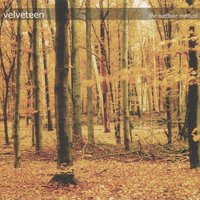 Let Go - Velveteen