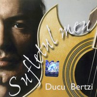Balada firului de iarba - Ducu Bertzi