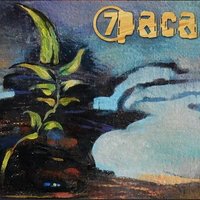 Огонь молодых - 7Раса