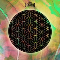 Volver a Empezar - Hongo