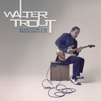 The Sky Is Fallin' Down - Walter Trout