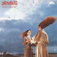 Manchmal fällt der Regen eben lang - Novalis