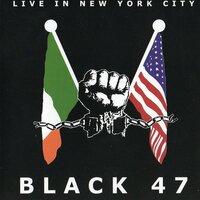 Green Suede Shoes - Black 47
