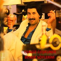 Bir Sevgi İstiyorum - Cengiz Coşkuner