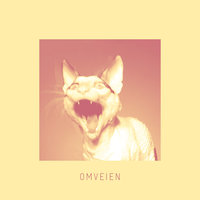 Omveien - Silja Sol