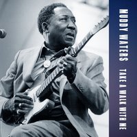 I Be Bound to Write to You - Muddy Waters