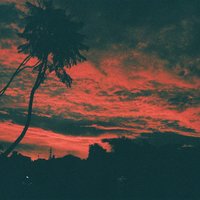 If It Goes - Malena Zavala