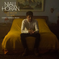 Too Much To Ask - Niall Horan, Cedric Gervais